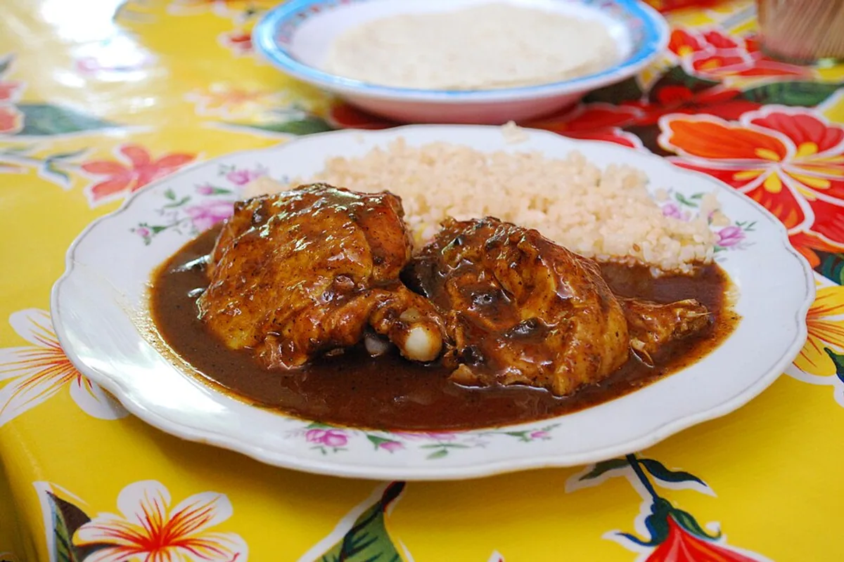 Chicken pieces covered in dark mole sauce beside white rice