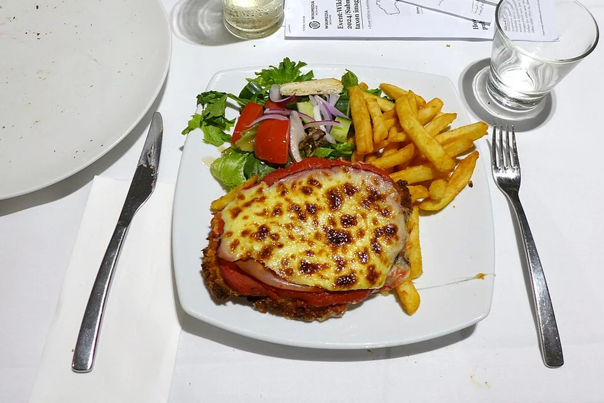 Chicken schnitzel parmigiana with tomato sauce melted cheese fries and salad