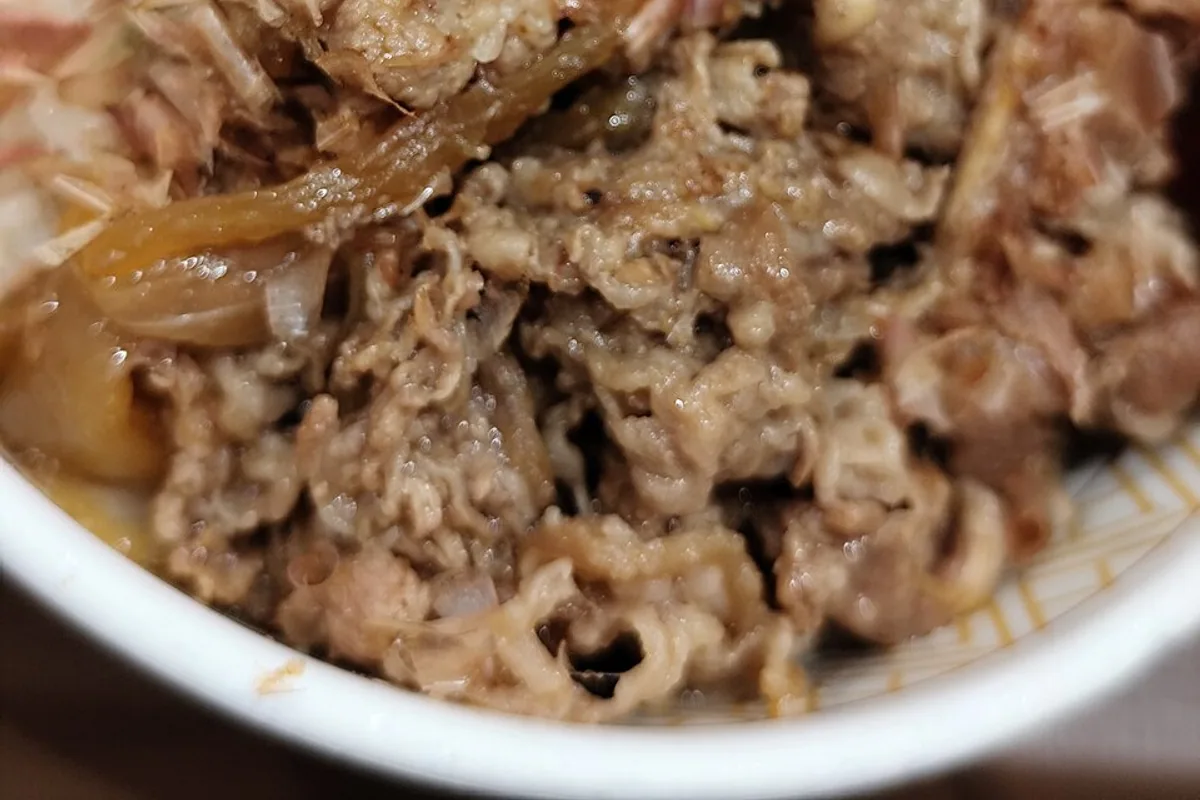 Japanese gyudon bowl with thin beef and onions over white rice